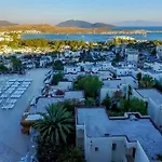 Hotel Royal Panacea