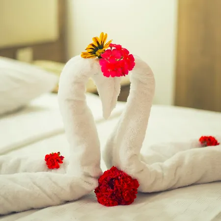 Royal Panacea Αλικαρνασσός