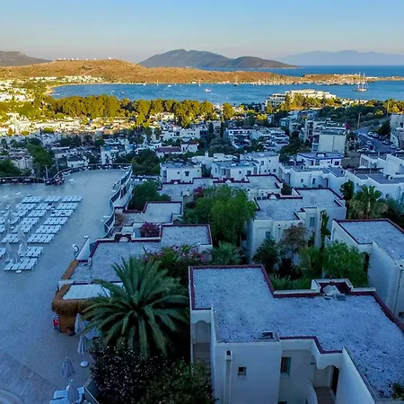 Hotel Royal Panacea