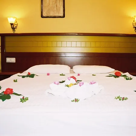 Hotel Royal Panacea