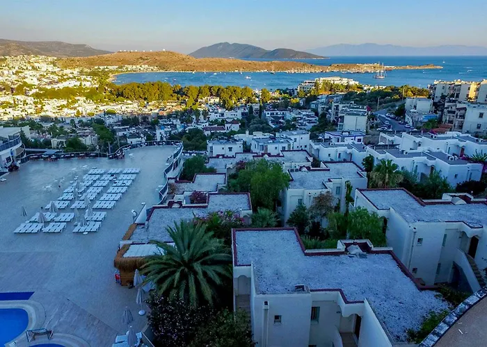 ホテル Royal Panacea